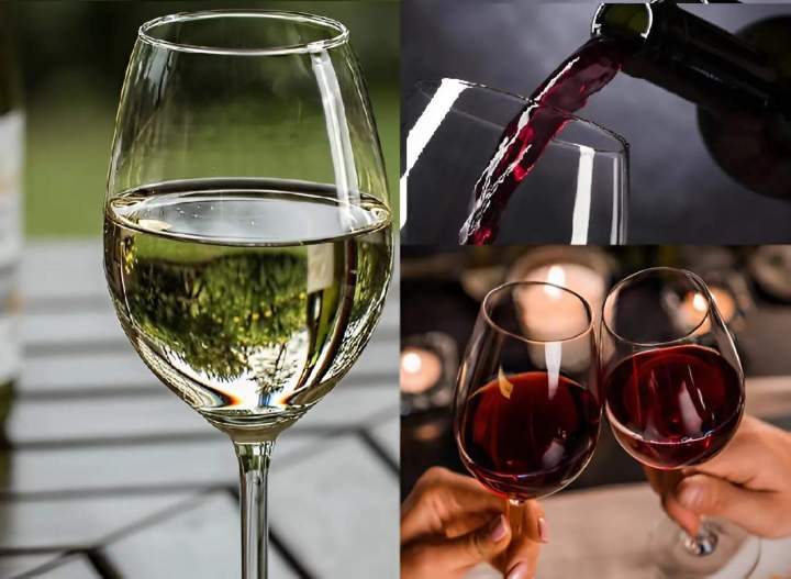 Sommelier Thonon-les-Bains